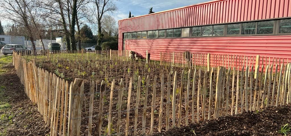 Micro-forêt cloturée