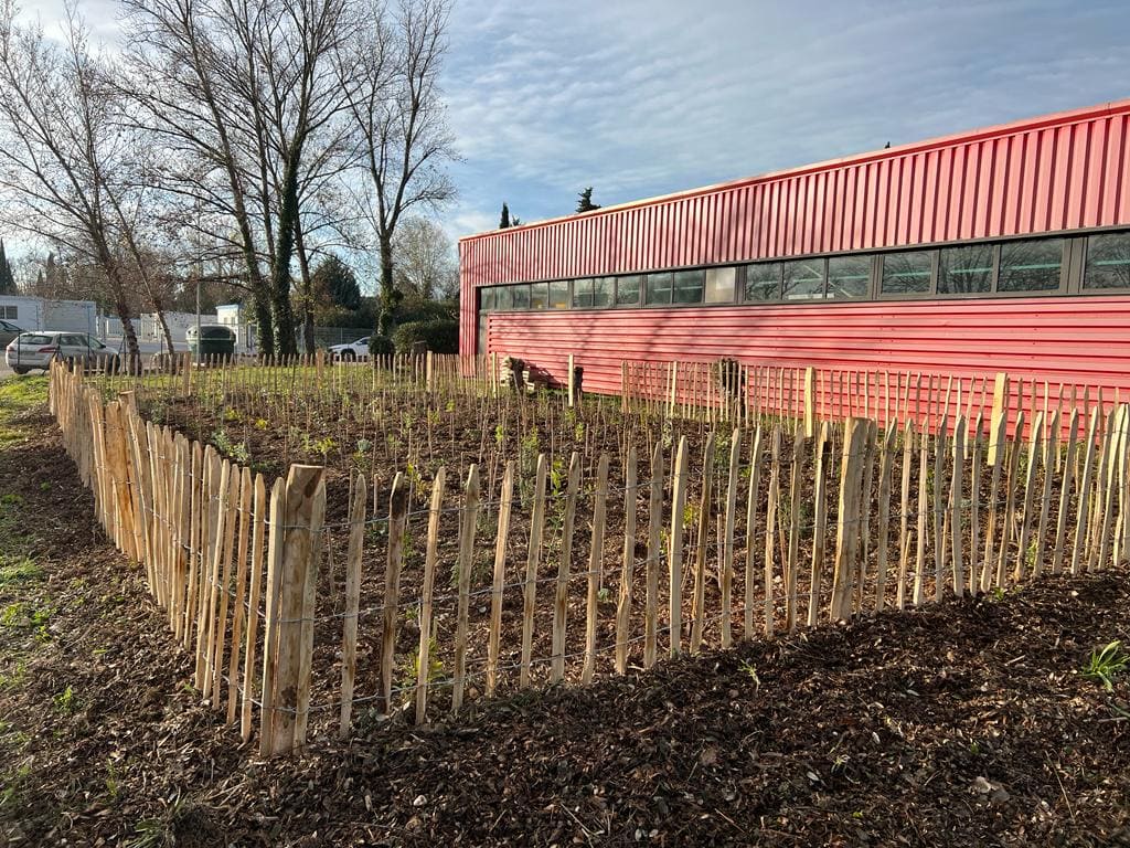 Micro-forêt cloturée